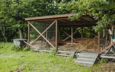 Alternatives to Coop for 10 Chickens