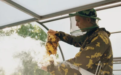 Hive vs AukBeeFun Smoker Fuel Showdown