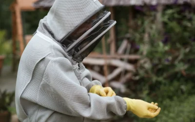 Bee Suits We Recommend for Backyard Beginners in 2026