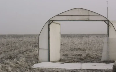 Cold Frames We Recommend for Fall Vegetables in 2026