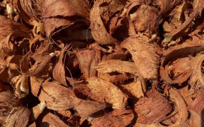 Compost Tumblers We Recommend for Apartments in 2026