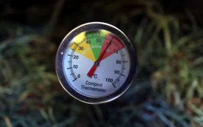 Close-up of a compost thermometer showing active temperature in a compost pile.