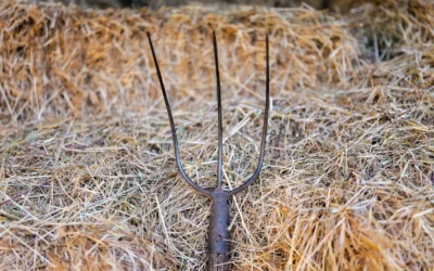 Best Compost Turning Fork For Organic Gardeners: 2026 Top 10 Reviewed