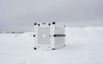 Best Dog House Outdoor Insulated For Large Dogs: 2026 Top 4 Warm Picks