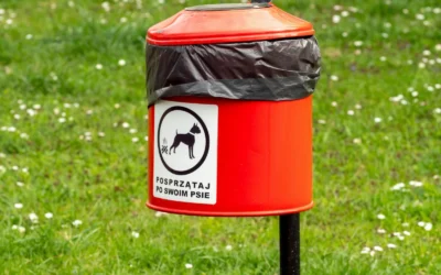 Outdoor Dog Waste Dispensers We Recommend for Large Dogs in 2026