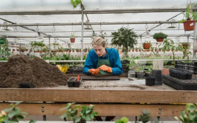 Best Greenhouse Heater for Backyard of 2026: 10 Picks to Keep Plants Warm