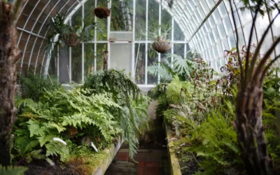 Greenhouse Heaters We Recommend to Keep Plants Warm in 2026