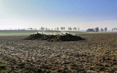 Organic Granular Fertilizer for Apartment Composting: 2026 Top 9 Picks