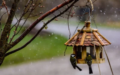 Rain Chains We Recommend for Small Gardens in 2026