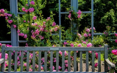 Best Raised Garden Bed With Trellis For Beginner Gardeners: 2026 Top 14 Reviewed