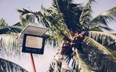Best Solar Motion Lights Outdoor Solar: 6 Picks for Safety in 2026