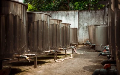 Best Large Water Catchment Tanks of 2026: 10 Durable Picks for Homes