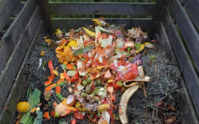 How to Choose a Rolling Compost Bin: Compost Bin Rolling Review Guide