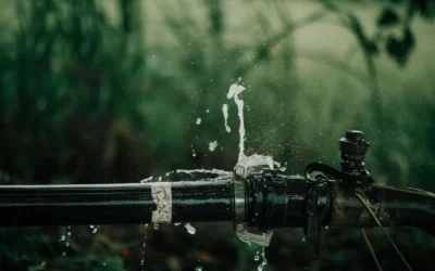 Drip Irrigation Kit Setup Guide