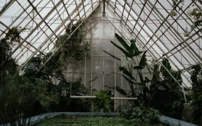 Greenhouse Heaters We Recommend for Winter in 2026