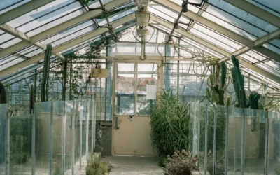 VEVOR vs Kecreque 15x7 Greenhouse Compared