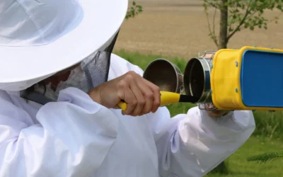 Honey Jars vs Bee Smoker Compared