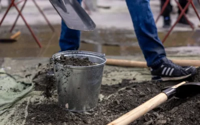 How To Choose Biochar Soil Additive Guide