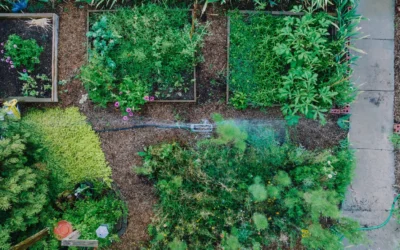 How To Choose Raised Bed Cover Hoop Kit: A Practical Buying Guide