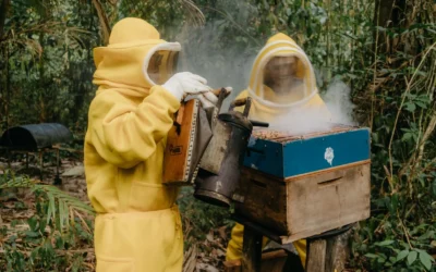 How To Maintain Beekeeping Smoker Fuel: A Practical Buying Guide for 2026