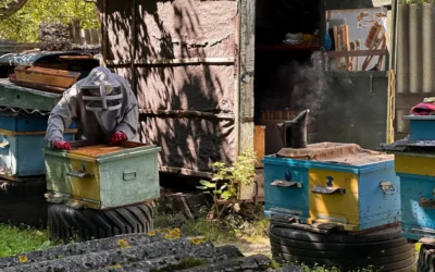 How To Maintain Grill Smoker Box: A Practical Buying and Care Guide