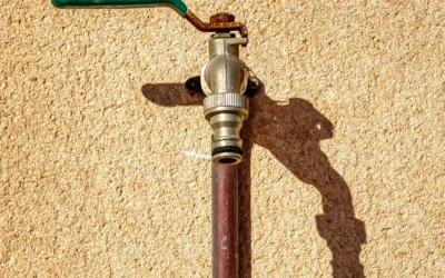 How to Maintain Honey Bottling Bucket With Valve: A Practical Buying Guide