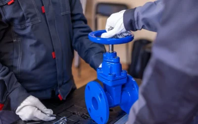 How To Maintain Irrigation Zone Valve Guide