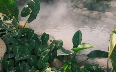 How To Maintain Misting System Outdoor: A Practical Buying and Care Guide