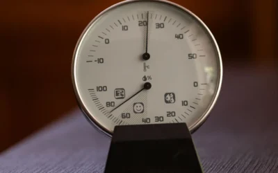 How To Use Compost Thermometer Guide