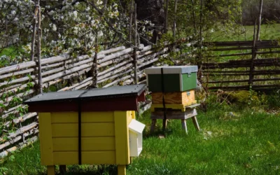 Beekeeping Log Book: Beehive Management Daily vs Beekeeping Log Book: Comprehensive Beekeepers: Which Tracking System Is Right for You in 2026?