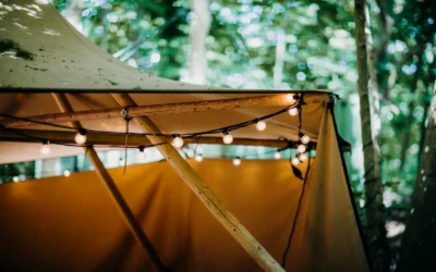 Privacy Screen vs Pop-Up Tent