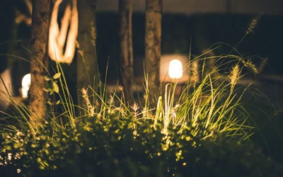 Solar Lights Outdoor Waterproof vs Solar Motion Sensor Outdoor Lights: Which One Fits Security or Garden Ambiance?