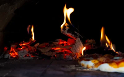 Gyreuni 13 Pizza Stone for Oven and Grill vs Pizza Oven Table for Ooni Pizza Ovens: Which Upgrade Fits Your Backyard in 2026 ?