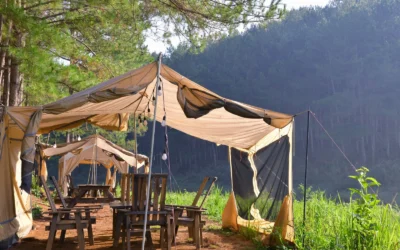 Pop Up Canopy Tent Guide