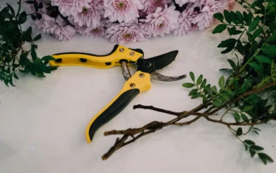 How to Choose Pruning Shears Bypass: A Practical Buying Guide