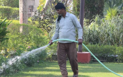 Hlinker Flat Soaker Hose 50 FT for Garden Beds vs Rain Bird ET256-50S Drip Emitter Tubing, 1/4″: Which 50ft System Waters More Evenly?