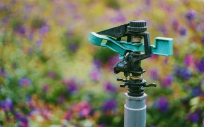 Sprinkler Timer vs Filter Guide