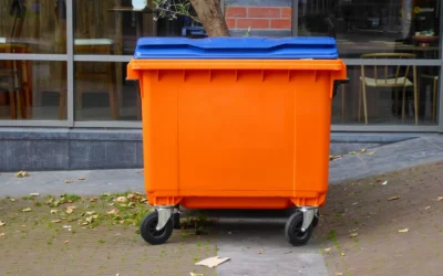 Worm Bin vs 80 Gallon Bin Guide