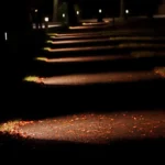 An artistic nighttime view of a dark, shadowy path illuminated by strategic lighting, creating a mysterious ambiance.