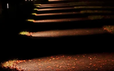 Yard Stake Solar Spotlight Guide
