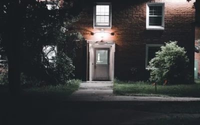 Yard Stake Spotlight vs Fake Camera Decoy