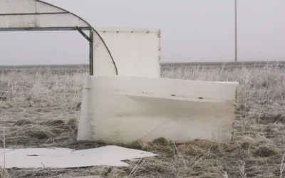 7 Cold Frames to Extend Your Fall Vegetable Harvest 2026