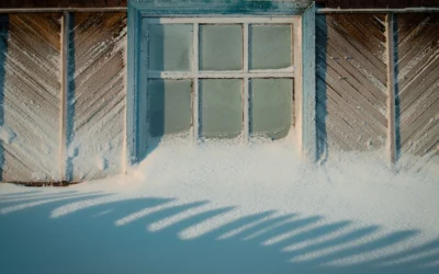 Cold Frames We Recommend for Fall and Winter Gardens in 2026