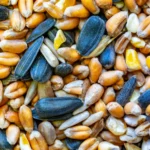 Close-up of mixed bird seeds including sunflower, corn, and millet. Perfect for wildlife feeding.