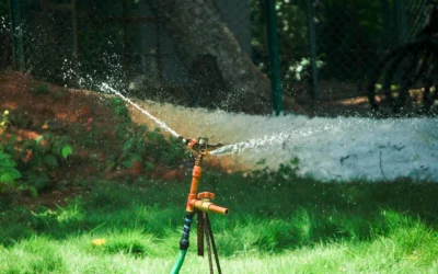 Best Drip Irrigation Kit for Raised Garden Beds During Drought 2026