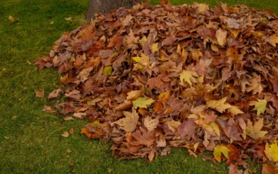 Electric Leaf Mulchers We Recommend for Compost in 2026
