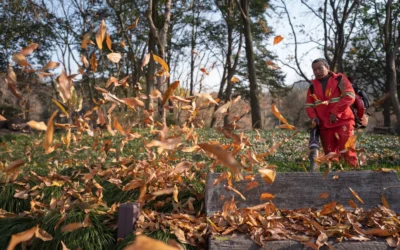 Electric Leaf Shredders We Recommend for Composting in 2026