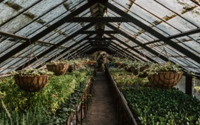 Small Winter Greenhouse Heaters We Recommend in 2026