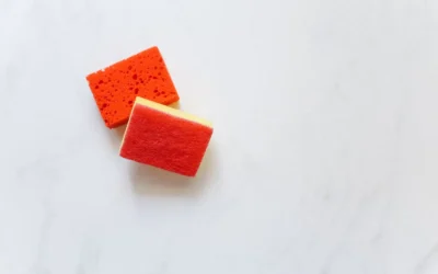 Best Grow Sponges for Hydroponic Systems: 2026 Top 10 Picks