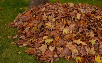 Best Leaf Shredder for Composting Fall Leaves: 2026 Top 10 Picks